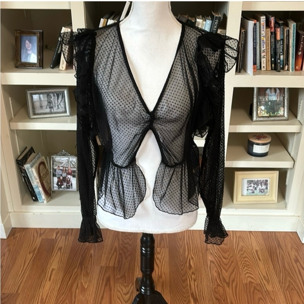 ASOS Sheer Black Swiss Dot Long Sleeve Ruffle Blouse Size U.S. 8